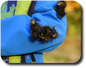 velcro FASTFIX&reg; dla branży odzieżowej - sprzdajemy rzepy pasmanteryjne do przyszywania, rzepy grzybkowe, tkaninę rzep welurowy, a także rzepy plastikowe wysokoprofilowe i niskoprofilowe